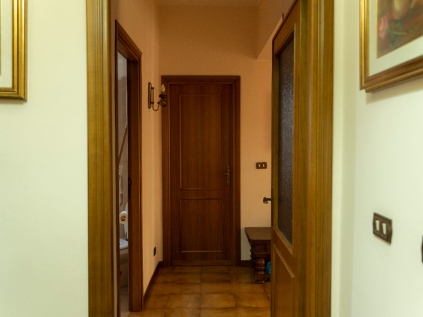 Viale dei Consoli