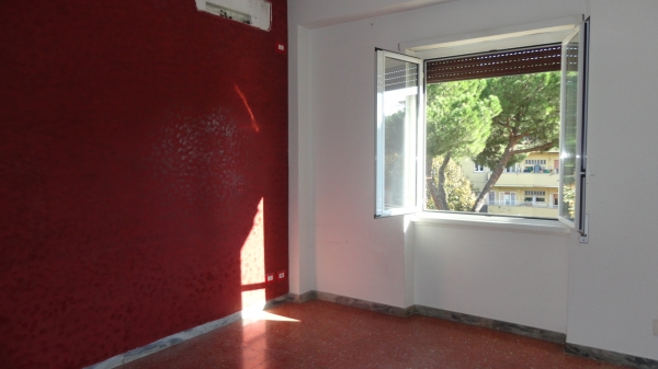 Via delle Palme, 12