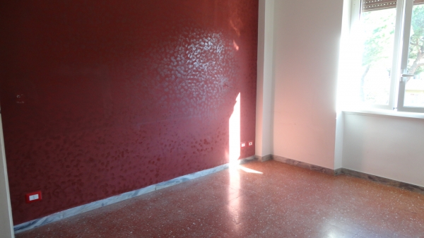 Via delle Palme, 12