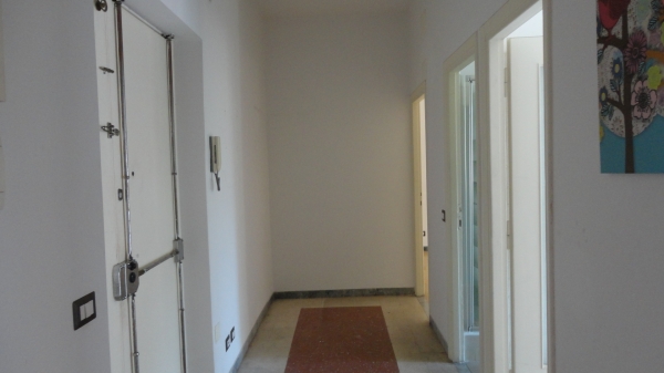 Via delle Palme, 12