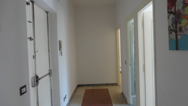 Via delle Palme, 12
